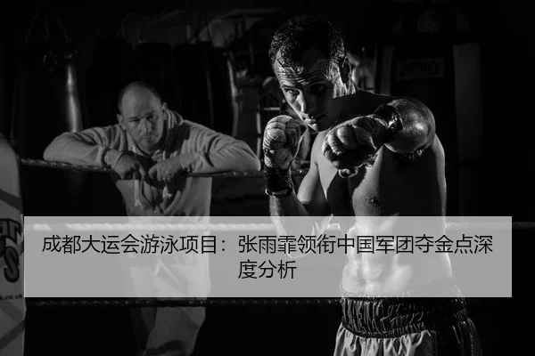 cheng-du-da-yun-hui-you-yong-xiang-mu-zhang-yu-fei-ling-xian-zhong-guo-jun-tuan-duo-jin-dian-shen-du-fen-xi-1-333.jpg